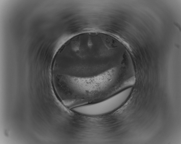 X0000091721239200708311131