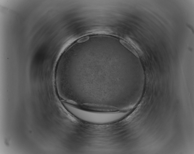 X0000091721240200708311131