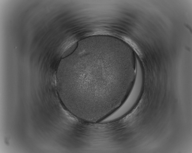 X0000091721241200708311131