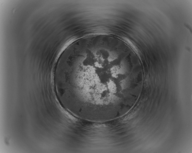 X0000091721243200708311131