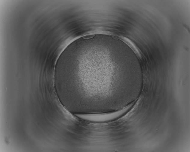 X0000091721244200708311131