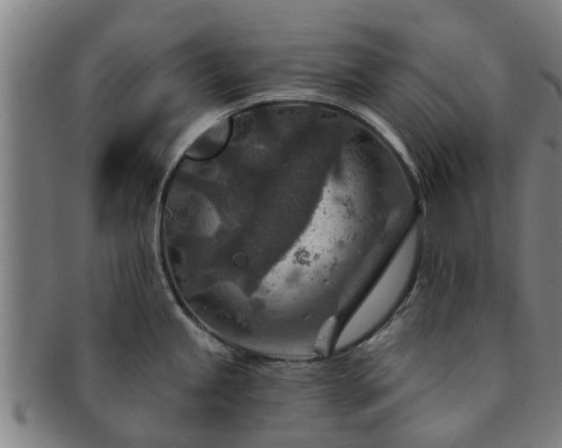X0000091721245200708311131