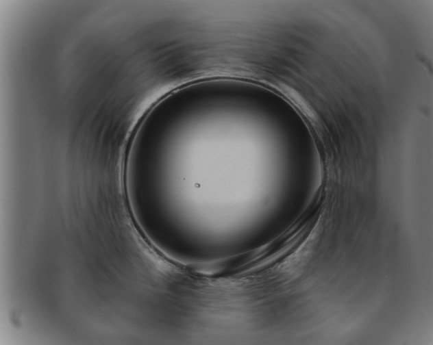 X0000091721246200708311131
