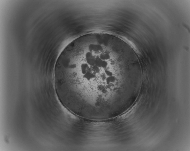 X0000091721247200708311131