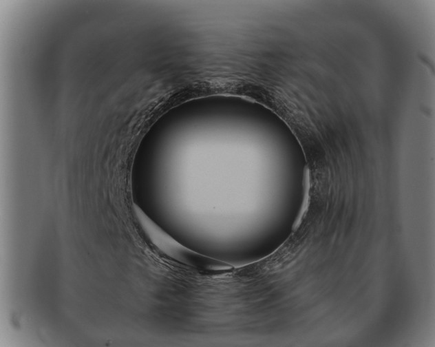 X0000091721249200708311130