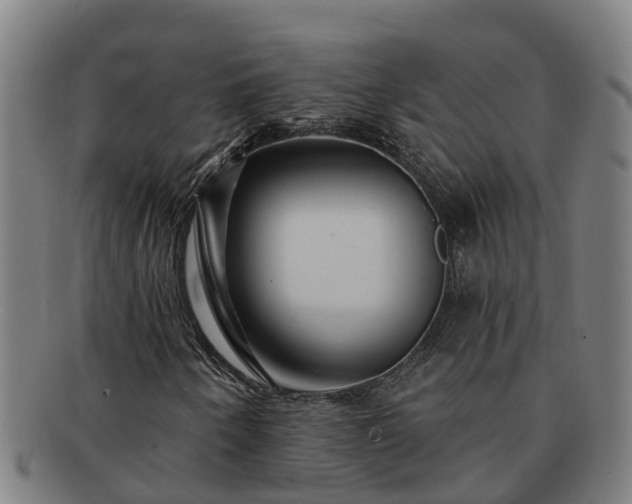 X0000091721250200708311130