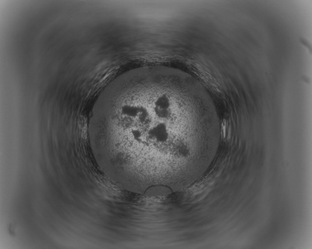 X0000091721251200708311130