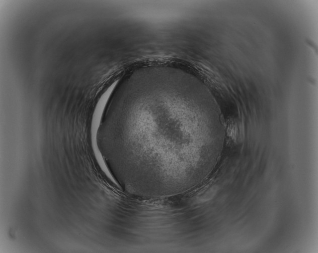 X0000091721252200708311130