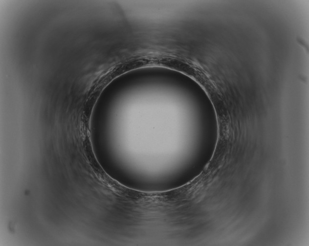 X0000091721253200708311130