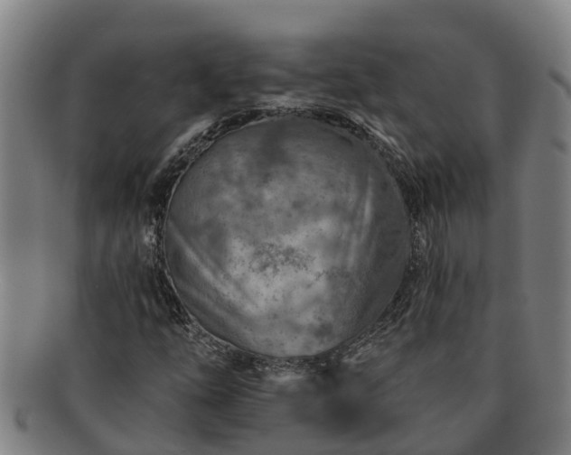 X0000091721254200708311130