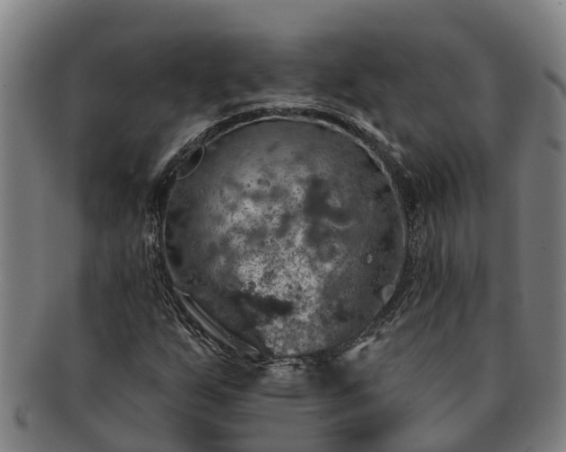 X0000091721255200708311130