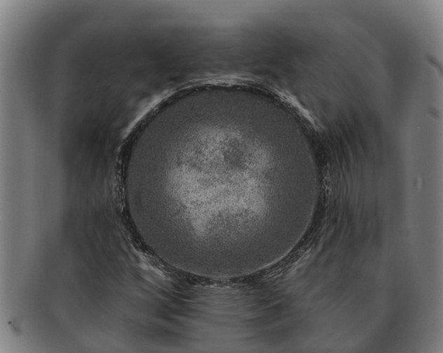 X0000091721256200708311130