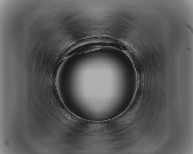 X0000091721257200708311130