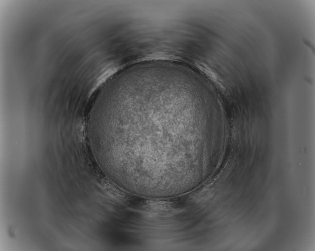 X0000091721258200708311130