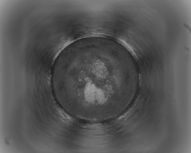 X0000091721260200708311130