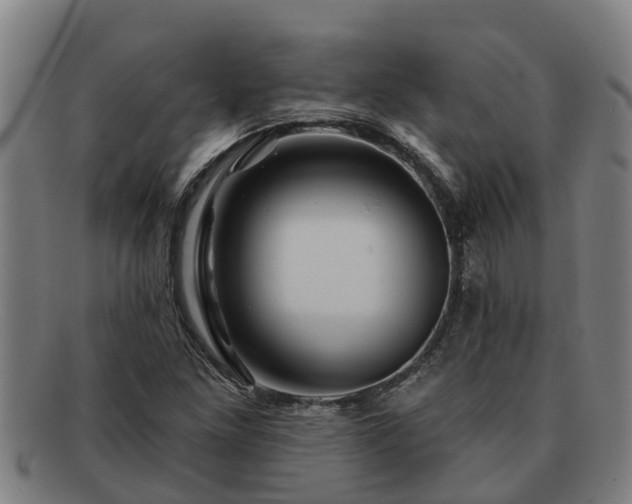 X0000091721261200708311130