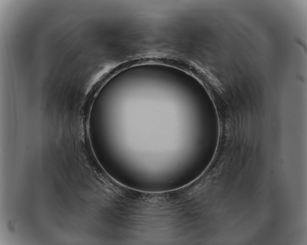 X0000091721262200708311130