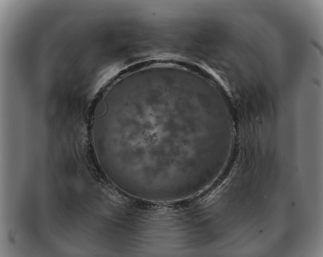 X0000091721263200708311130