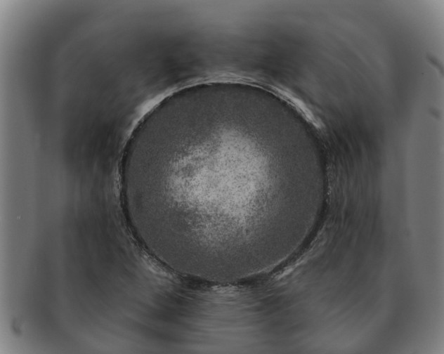 X0000091721264200708311130