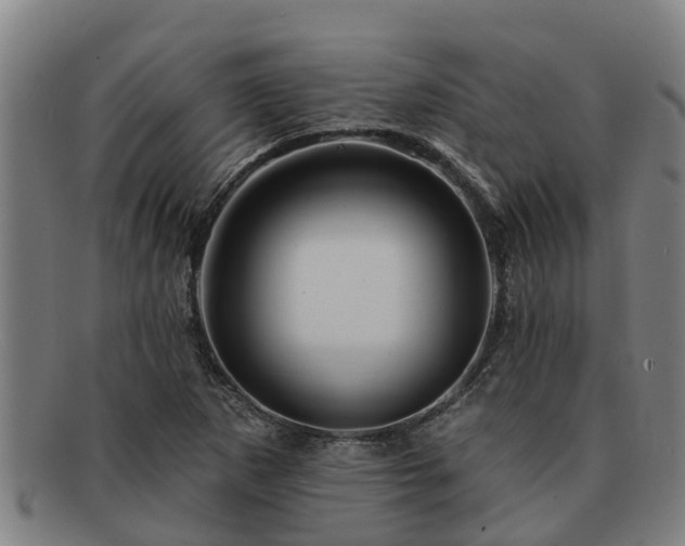 X0000091721265200708311130