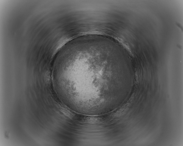 X0000091721266200708311130