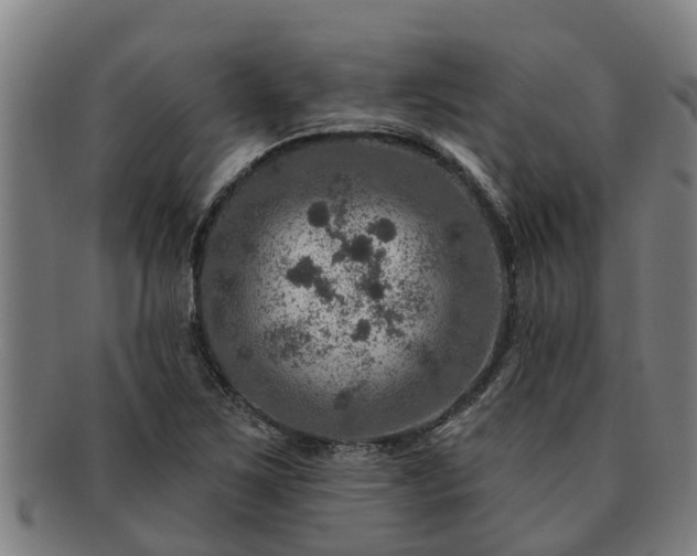 X0000091721267200708311130