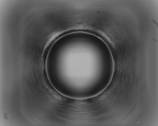 X0000091721270200708311130