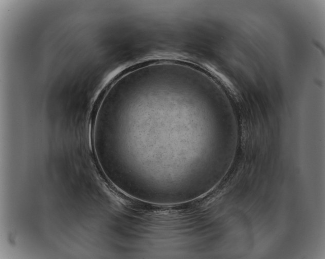 X0000091721272200708311130