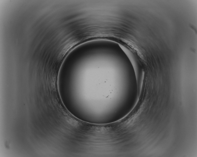 X0000091721273200708311130