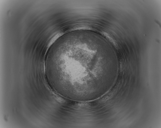X0000091721274200708311130