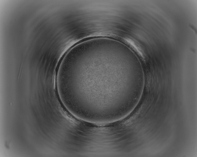 X0000091721276200708311130