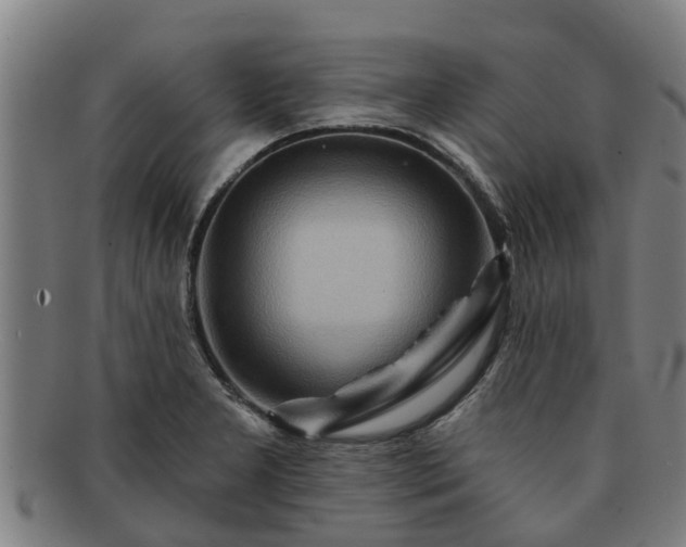 X0000091721277200708311130