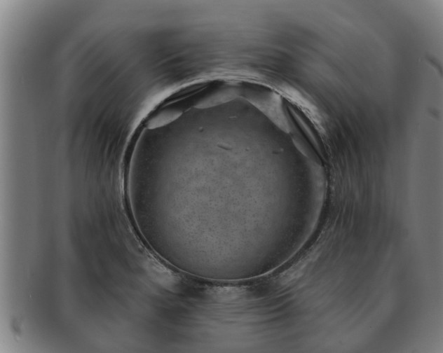 X0000091721280200708311130
