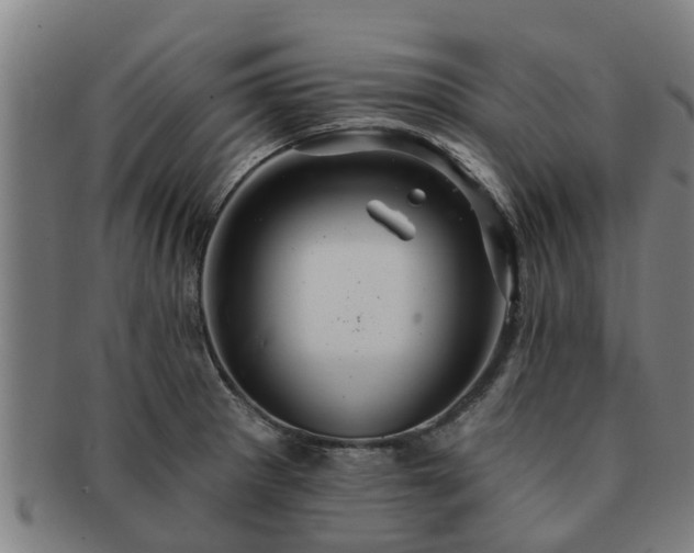 X0000091721281200708311130