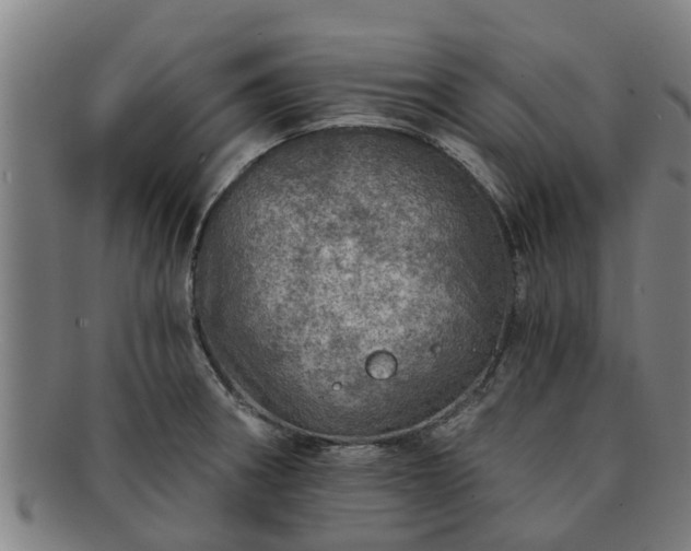 X0000091721282200708311130
