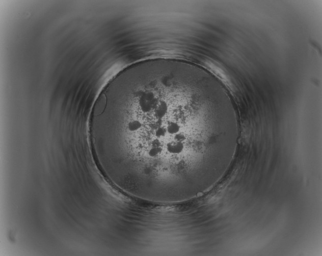 X0000091721283200708311130
