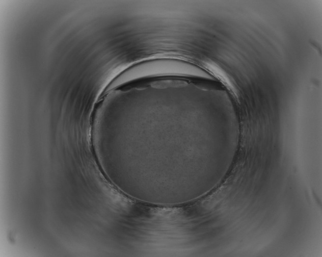X0000091721284200708311130