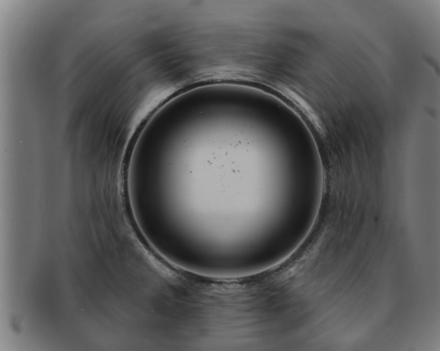X0000091721285200708311130