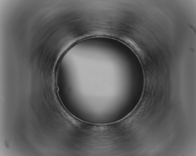 X0000091721286200708311130