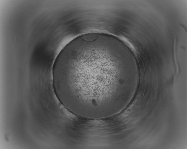 X0000091721287200708311130