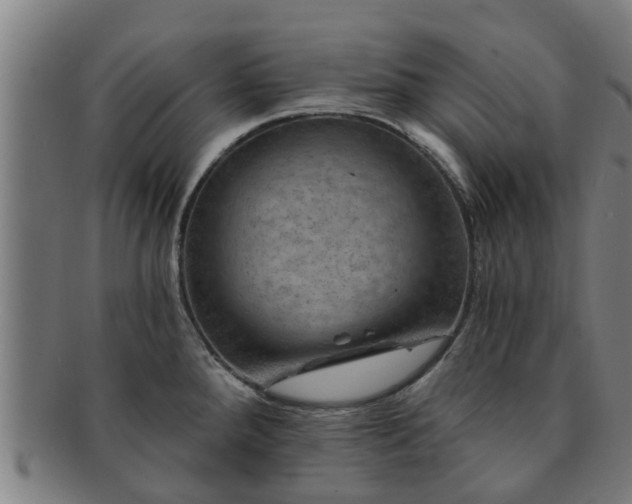 X0000091721288200708311130