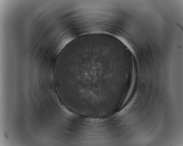 X0000091721289200708311130