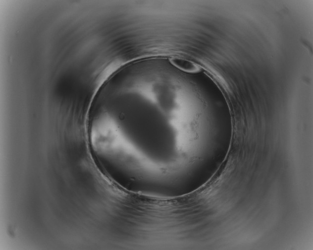 X0000091721291200708311130