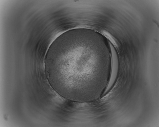 X0000091721292200708311130