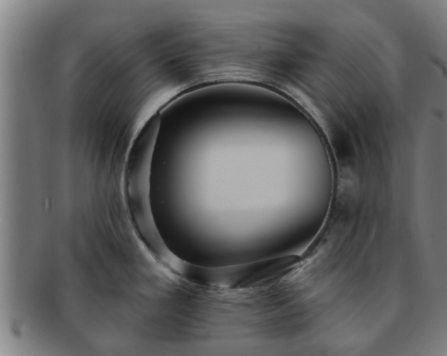 X0000091721293200708311130