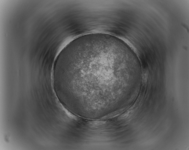 X0000091721294200708311130
