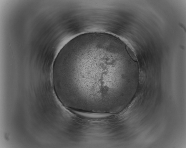X0000091721295200708311130