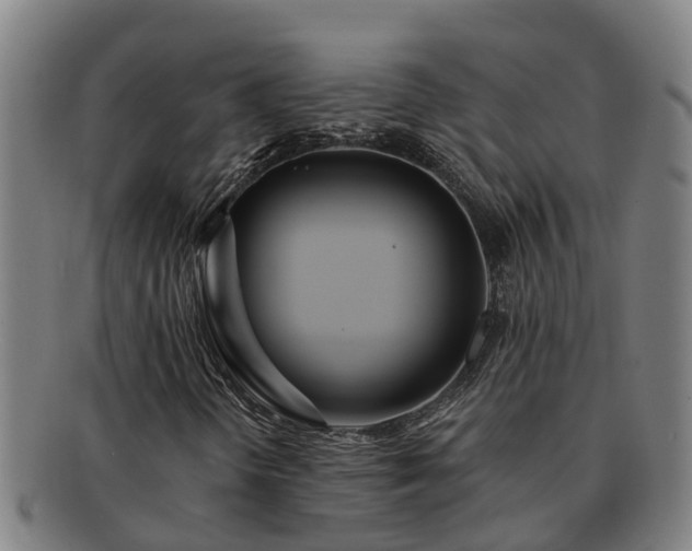 X0000091721298200708311129