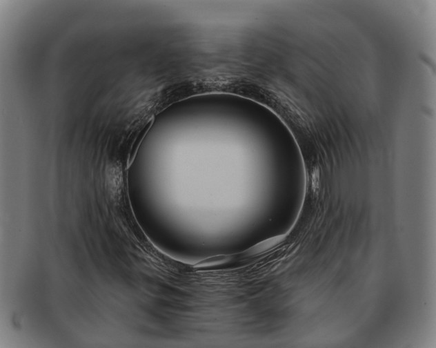 X0000091721299200708311129
