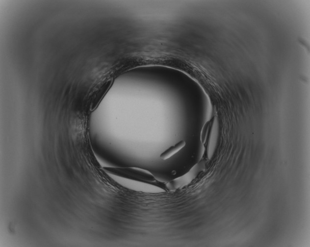 X0000091721300200708311129